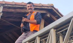 Hanönü’de kara kedi operasyonu (görüntülü haber)