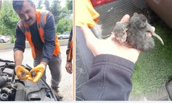 Kastamonu'da sevimli operasyon