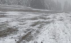 Ilgaz Dağı eteklerinde yoğun kar!