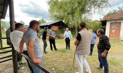 Kastamonu Belediye Başkanı, Hayvan Pazarı’ndaki Kurban Bayramı Hazırlıklarını Denetledi