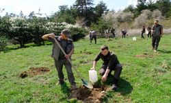 Kastamonu’da Yaban Hayatına Can Veren Fidanlar Toprakla Buluştu