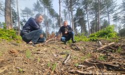 Kastamonu OBM gençleştirme çalışmalarını yerinde inceledi