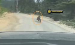 Kastamonu’da sıradan bir gün (görüntülü haber)