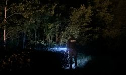 Kastamonu'da orman nöbeti! Göz açtırmıyorlar