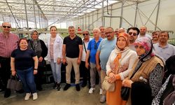 Kastamonulu çiftçiler Antalya’da seracılık uygulamalarını yerinde gördü