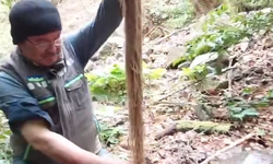 Kastamonu'nun ilçesindeki köyde su kesintisinin nedeni ortaya çıktı!