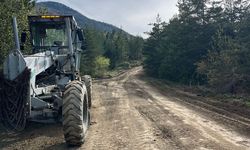 Kastamonu’nun Orman Yolları Yenileniyor: Tesviye Çalışmaları Başladı