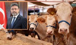Kastamonulu Bakan açıkladı: Kurbanlık hayvan varlığımız yeterli düzeyde