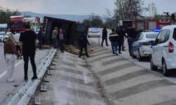 Devrilen kamyonda 53 koyun telef oldu
