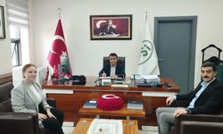 Taşköprü’nün Tarım Alanındaki Umudu: Gökırmak - Obrucak Sulaması Projesinde Yeni Gelişmeler