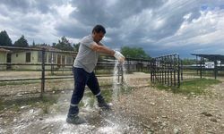 Taşköprü Belediyesi’nden Kurban Bayramı Öncesi Hayvan Pazarında Hijyen Çalışması