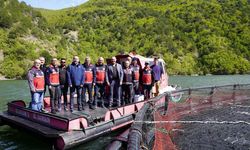 Taşköprü’de 400 Tonluk Alabalık Tesisi Denetlendi
