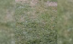 Taşköprü'de dolu yağdı! Vatandaşlar hazırlıksız yakalandı