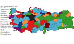 Türkiye'nin suç haritası belli oldu: Kastamonu’da en çok hangi suç işleniyor?