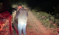 Ormanlar Güvende: Hanönü’de Gece Boyunca Denetim Yapıldı