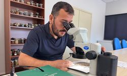 Kastamonu'dan bilim dünyasına yeni keşif: Horma Kanyonunda keşfedildi