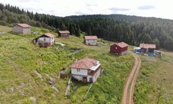 Kastamonu'da 48 kilometrelik rotada bulunan 33 yayla koruma altına alınacak!
