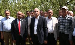 Kastamonu'da dondan etkilenen arazileri gezdi: Taşköprü de etkilendi mi?