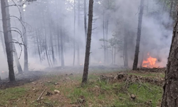 Kastamonu’da Yıldırım Düştü! Ekipler Müdahaleye Devam Ediyor