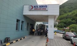 Kastamonu'nun ilçesinde yaşlı kadını akrep soktu: Hastaneye kaldırıldı!