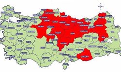 Kastamonu ve bölgesinde de görülüyor: 'Ölümcül vaka sayısı artacak, ciddiye alalım'