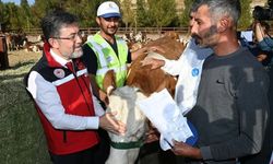 Kastamonulu Bakan açıkladı: 3 milyonu aşkın kurbanlık kesildi