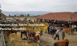 Son Dakika: Kastamonu'da Hayvan Alım Satımı Durduruldu, Pazarlar Kapatıldı!