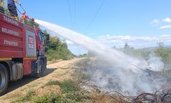 Taşköprü'nün köyündeki korkutan yangına müdahale edildi