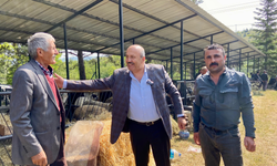 Taşköprü'de Başkan Arslan’dan Hayvan Pazarı Ziyareti