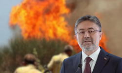 Yangın tehlikesi kapıda: Kastamonulu Bakan Yumaklı'dan uyarı!