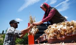 Köyden şehre göç bitecek mi? Yeni destekler ve kalkınma adımları yolda