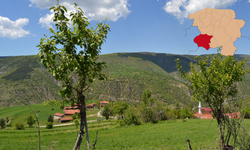 Araç’ta Kaç Cami Var?