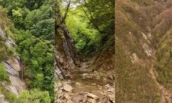 Arafat Deresi ve Şelaleleri: Kastamonu-Sinop Arasında Büyüleyici Bir Keşif