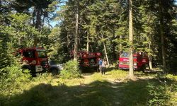 Son dakika: Kastamonu'da orman yangını çıktı!