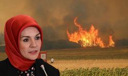 Bakan Göktaş Açıkladı: Yangından Etkilenen İllere 10 Milyon Liralık Destek