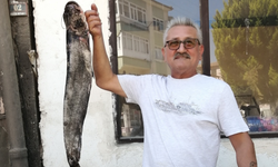 Hanönü’de Yayın Balığı 450 Liraya Satıldı
