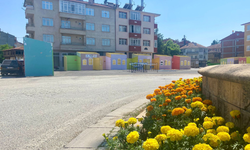 35. Uluslararası Kültür ve Sarımsak Festivali İçin Geri Sayım Başladı