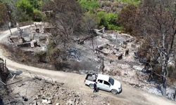 Feci orman yangınında köyün bir mahallesi kül oldu