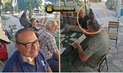 Kastamonu’da talih kuşu onların başına kondu! (görüntülü haber)