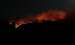 Son dakika: Ilgaz Dağı ormanlarında yine alevler yükseldi