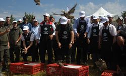 Vurulmazlar inşallah! Kastamonu’da doğaya 2 bin 100 kınalı keklik salındı (görüntülü haber)