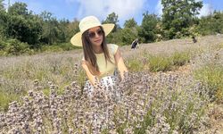 Kastamonu'da lavanta bahçesiyle turizme yeni soluk