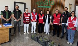 Kastamonu'da fabrika sahipleri bağışladı: Okul bahçesinde yeşerecekler!