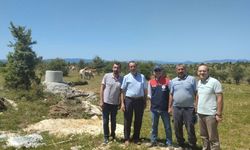 Kastamonu’da hayvancılığa can suyu geldi