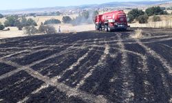 Kastamonu'da yangın: 15 dönüm alan zarar gördü