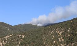 Kastamonu'da yangın: Havadan ve karadan müdahale ediliyor!