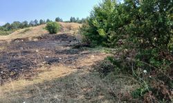 Kastamonu'da yangın: İtfaiyeden hızlı müdahale!
