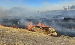 Kastamonu'da yangın ormana sıçradı