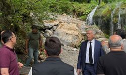 Kastamonu’nun Doğal Cennetine Yatırım: Saray Şelalesi Projesi İncelendi
