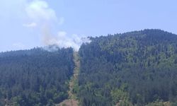 Kastamonu'nun ilçesinde orman yangını!